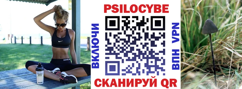 Псилоцибиновые грибы ЛСД  закладка  Кировск 